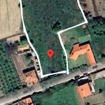 Парцел в с. Книжовник, Област Хасково - 4000 кв.м за 14 €/кв.м - Снимка #1