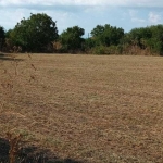 Парцел в с. Раковски, Област Добрич - 4014 кв.м за 6 €/кв.м - Снимка #1