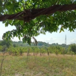 Къща в Търговище, Вилна зона - 1300 кв.м за 9 €/кв.м - Снимка #1