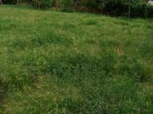 Парцел в София, Сухата река - 1700 кв.м за 7 €/кв.м - Снимка #1