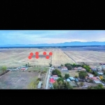 Парцел в с. Конуш, Област Пловдив - 8000 кв.м за 2 €/кв.м - Снимка #1