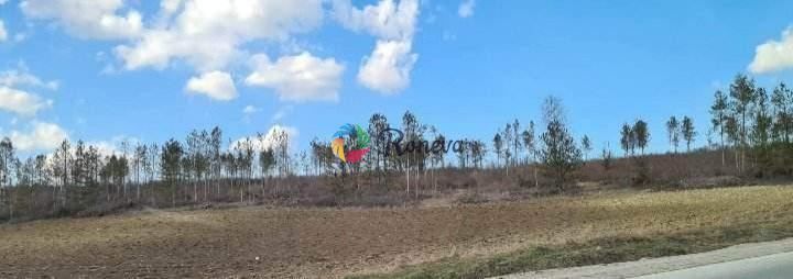 Парцел в с. Тополи, Област Варна - 2500 кв.м за 228 €/кв.м - Снимка #1