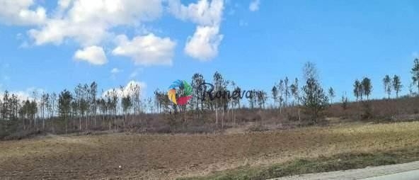 Парцел в с. Тополи, Област Варна - 2500 кв.м за 135 €/кв.м - Снимка #1