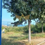 Парцел в Бяла - 864 кв.м за 70 €/кв.м - Снимка #1