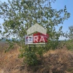 Парцел в Варна, Западна промишлена зона - 2000 кв.м за 37 €/кв.м - Снимка #1