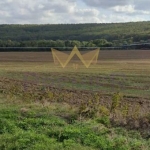 Парцел в с. Попович, Област Варна - 4490 кв.м за 4 €/кв.м - Снимка #1