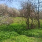 Парцел в Варна, Владислав Варненчик - 610 кв.м за 82 €/кв.м - Снимка #1