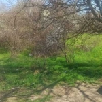 Парцел в Варна, Владислав Варненчик - 1321 кв.м за 76 €/кв.м - Снимка #1