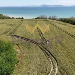 Парцел в Поморие - 5110 кв.м за 46 €/кв.м - Снимка #1