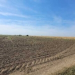 Земеделски имот в София, Надежда 2 -  кв.м за 600 €/дка - Снимка #1