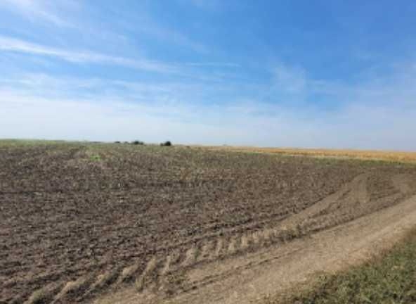 Земеделски имот в София, Надежда 2 -  кв.м за 600 €/дка - Снимка #1