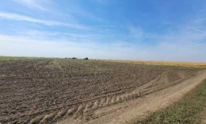 Земеделски имот в София, Надежда 2 -  кв.м за 600 €/дка - Снимка #1