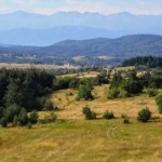 Земеделски имот в Банкя -  кв.м за 1913 €/дка - Снимка #1