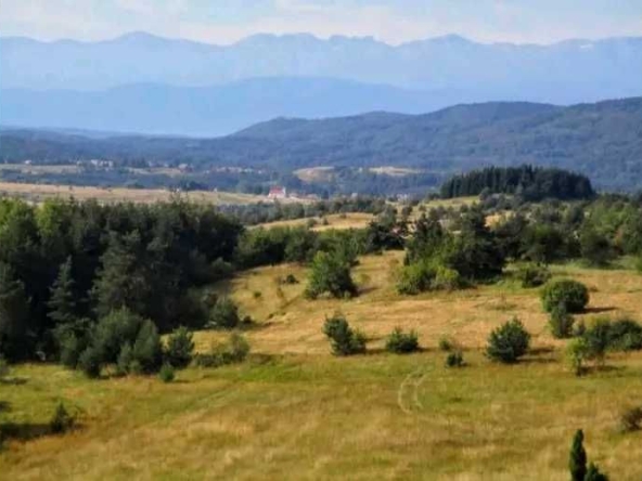 Земеделски имот в Банкя -  кв.м за 1913 €/дка - Снимка #1