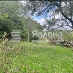 Парцел в с. Калиманци, Област Варна - 2660 кв.м за 16 €/кв.м - Снимка #1