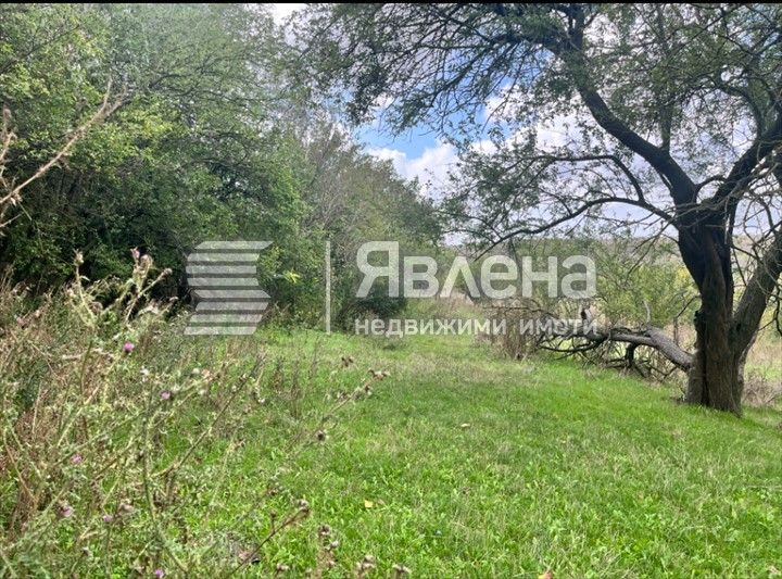 Парцел в с. Калиманци, Област Варна - 2660 кв.м за 16 €/кв.м - Снимка #1