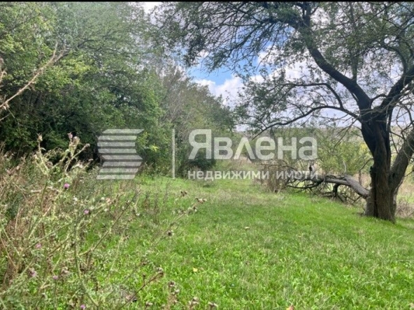 Парцел в с. Калиманци, Област Варна - 2660 кв.м за 16 €/кв.м - Снимка #1