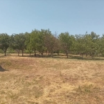 Парцел в с. Белоградец, Област Варна - 150 кв.м за 95 €/кв.м - Снимка #1