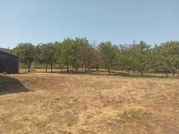 Парцел в с. Белоградец, Област Варна - 150 кв.м за 95 €/кв.м - Снимка #1