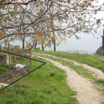 Парцел в Варна, Аспарухово - 640 кв.м за 44 €/кв.м - Снимка #1