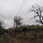 Парцел в с. Боряна, Област Варна - 1450 кв.м за 9 €/кв.м - Снимка #1