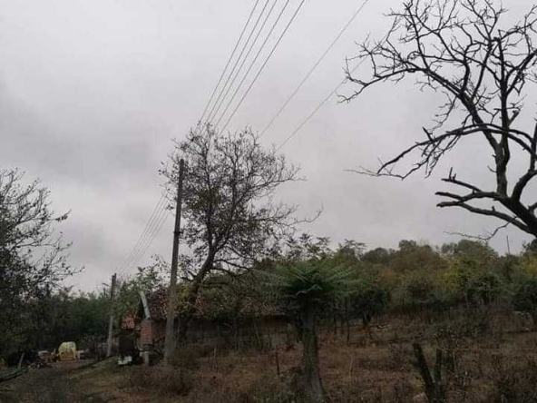 Парцел в с. Боряна, Област Варна - 1450 кв.м за 9 €/кв.м - Снимка #1