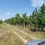 Земеделски имот в с. Карабунар, Област Пазарджик -  кв.м за 1435 €/дка - Снимка #1