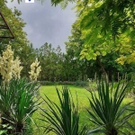 Парцел в с. Червена вода, Област Русе - 1000 кв.м за 17 €/кв.м - Снимка #1