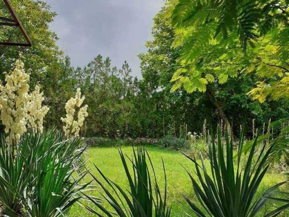 Парцел в с. Червена вода, Област Русе - 1000 кв.м за 17 €/кв.м - Снимка #1