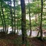 Парцел в Малко Търново - 6 кв.м за 5100 €/кв.м - Снимка #1