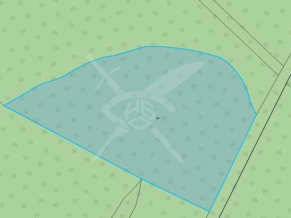 Парцел в с. Голямо Буково, Област Бургас - 4745 кв.м за 0 €/кв.м - Снимка #1