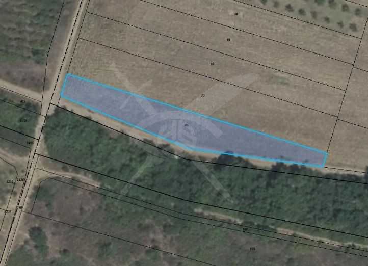 Парцел в с. Белащица, Област Пловдив - 1001 кв.м за 30 €/кв.м - Снимка #1