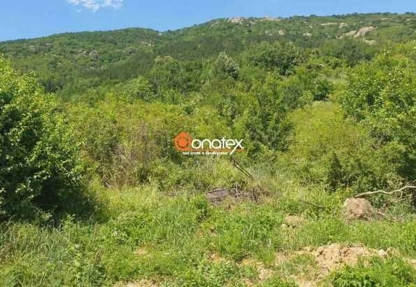 Парцел в Карлово - 1022 кв.м за 12 €/кв.м - Снимка #1