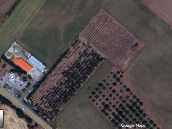 Земеделски имот в Айтос -  кв.м за 5384 €/дка - Снимка #1