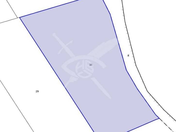 Парцел в с. Изворище, Област Бургас - 3731 кв.м за 2 €/кв.м - Снимка #1