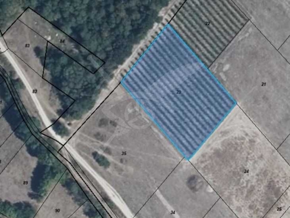 Парцел в Карлово - 3000 кв.м за 6 €/кв.м - Снимка #1