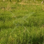 Парцел в с. Добралък, Област Пловдив - 4000 кв.м за 25 €/кв.м - Снимка #1