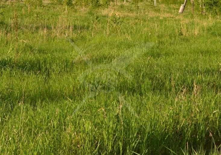 Парцел в с. Добралък, Област Пловдив - 4000 кв.м за 25 €/кв.м - Снимка #1