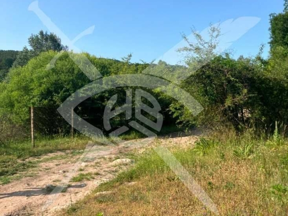 Парцел в с. Долище, Област Варна - 10000 кв.м за 2 €/кв.м - Снимка #1