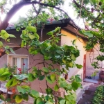 Къща в Перник, Могиличе - 50 кв.м за 1846 €/кв.м - Снимка #1