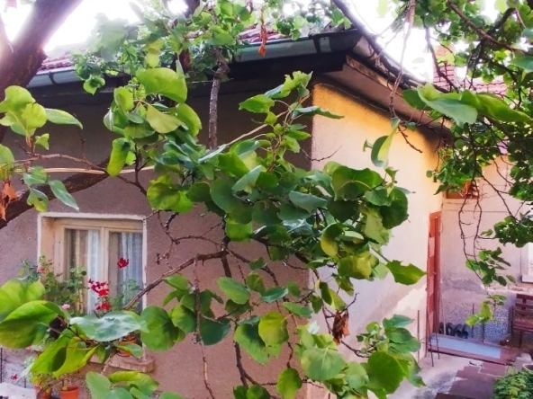 Къща в Перник, Могиличе - 50 кв.м за 1846 €/кв.м - Снимка #1