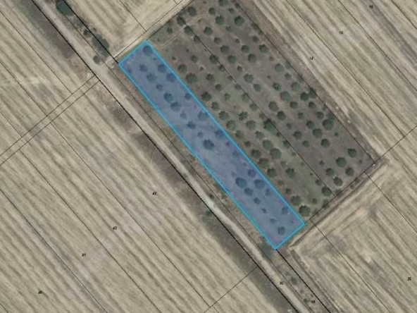 Парцел в с. Богданица, Област Пловдив - 5039 кв.м за 3 €/кв.м - Снимка #1