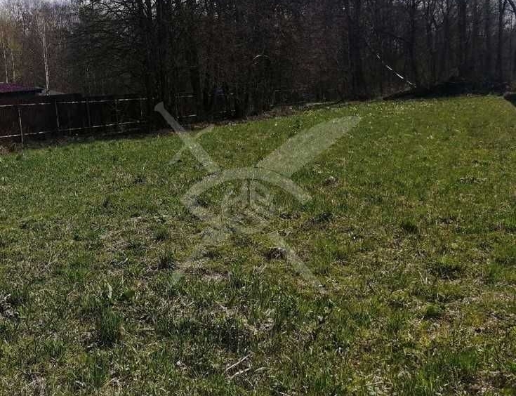 Парцел в с. Крумово, Област Пловдив - 2500 кв.м за 5 €/кв.м - Снимка #1