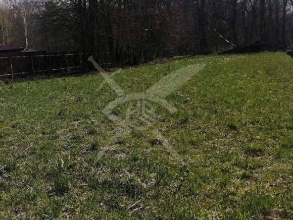 Парцел в с. Крумово, Област Пловдив - 2500 кв.м за 10 €/кв.м - Снимка #1