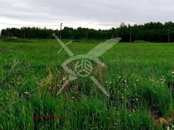 Парцел в Ахелой - 2176 кв.м за 14 €/кв.м - Снимка #1