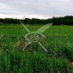 Парцел в с. Ягодово, Област Пловдив - 4000 кв.м за 9 €/кв.м - Снимка #1