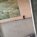 Тристаен апартамент в Бобов дол - 65 кв.м за 87 €/кв.м - Снимка #1