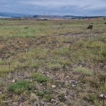 Парцел в Сандански - 16500 кв.м за 4 €/кв.м - Снимка #1