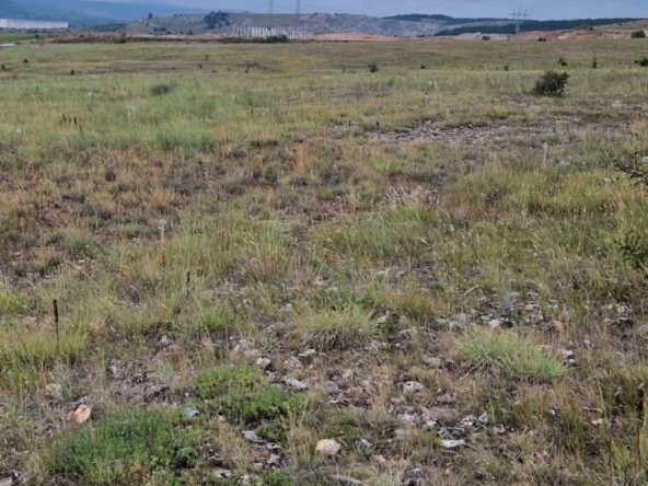 Парцел в Сандански - 16500 кв.м за 4 €/кв.м - Снимка #1