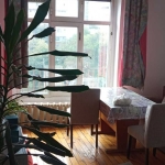 Дава се под наем Двустаен апартамент в София, Банишора - 46 кв.м за 321.3 € - Снимка #1